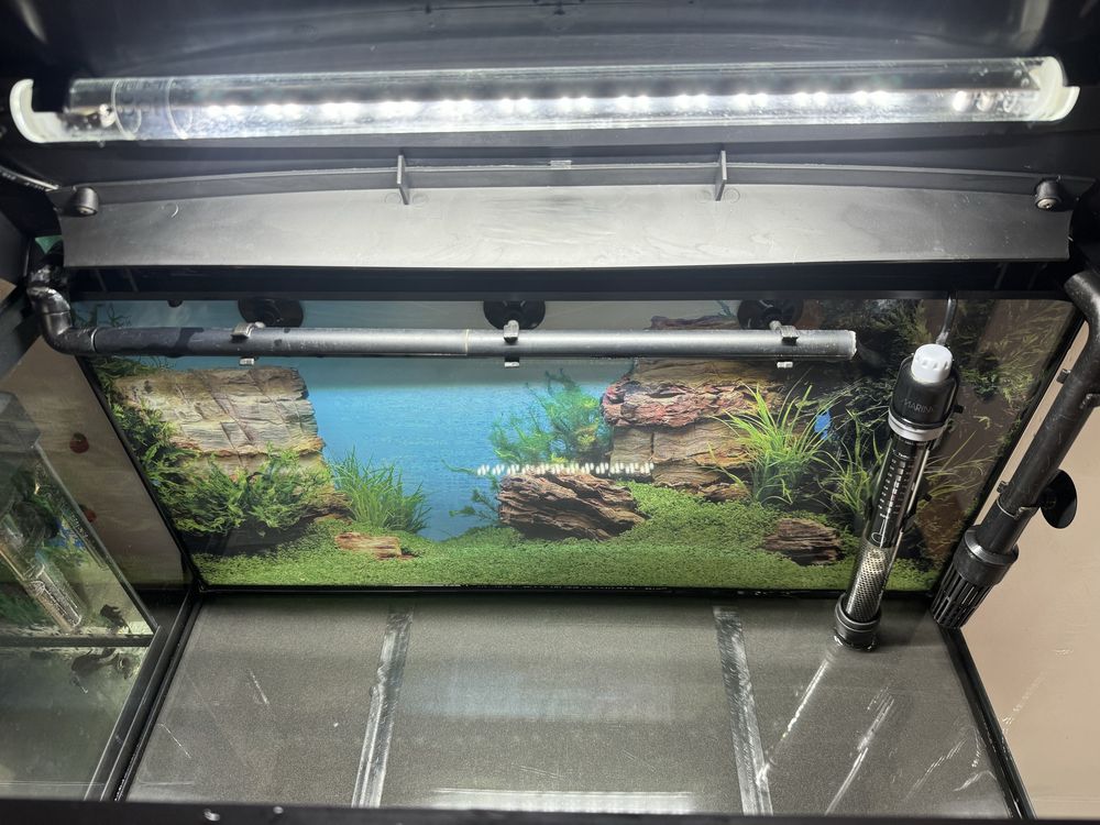 Acvariu Marina 60x30x30. cm. 54 L. Cu Led, filtru exterior.