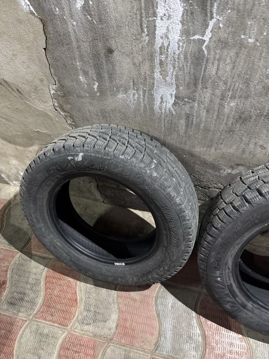 Продам резину 195 65 р15 кордиант