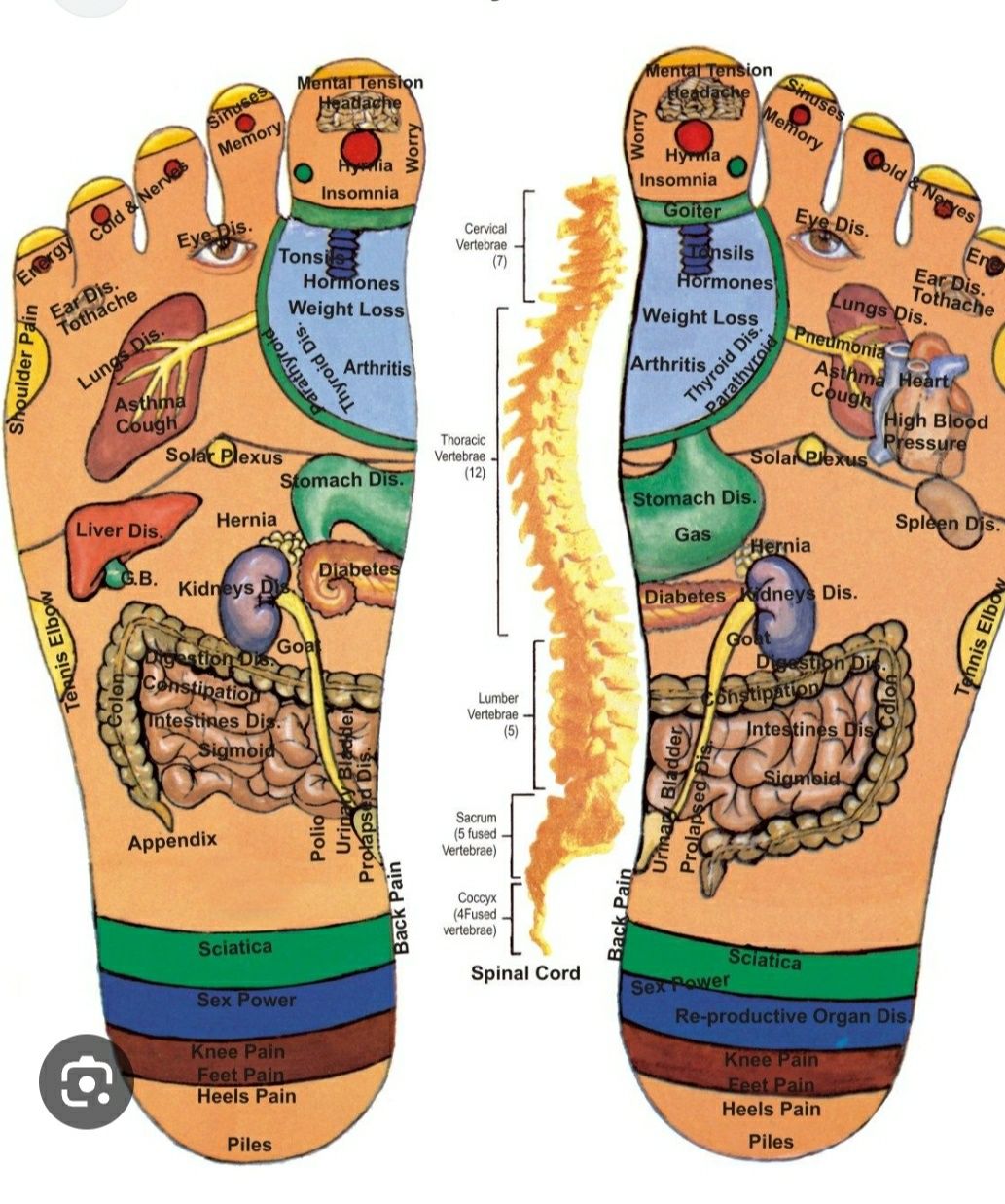 Masaj terapeutic și de relaxare