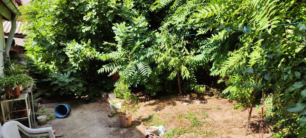 Етаж от къща - Свиленград - Център