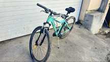 Bicicleta TERRANA