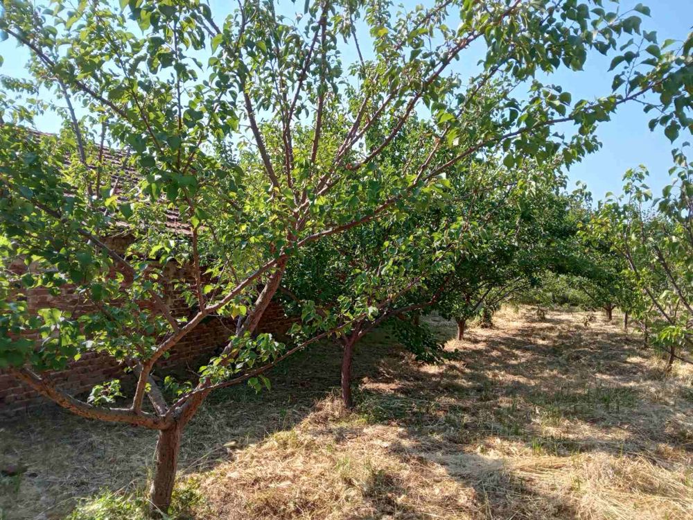 Промишлено помещение село Сарая, Пазарджик