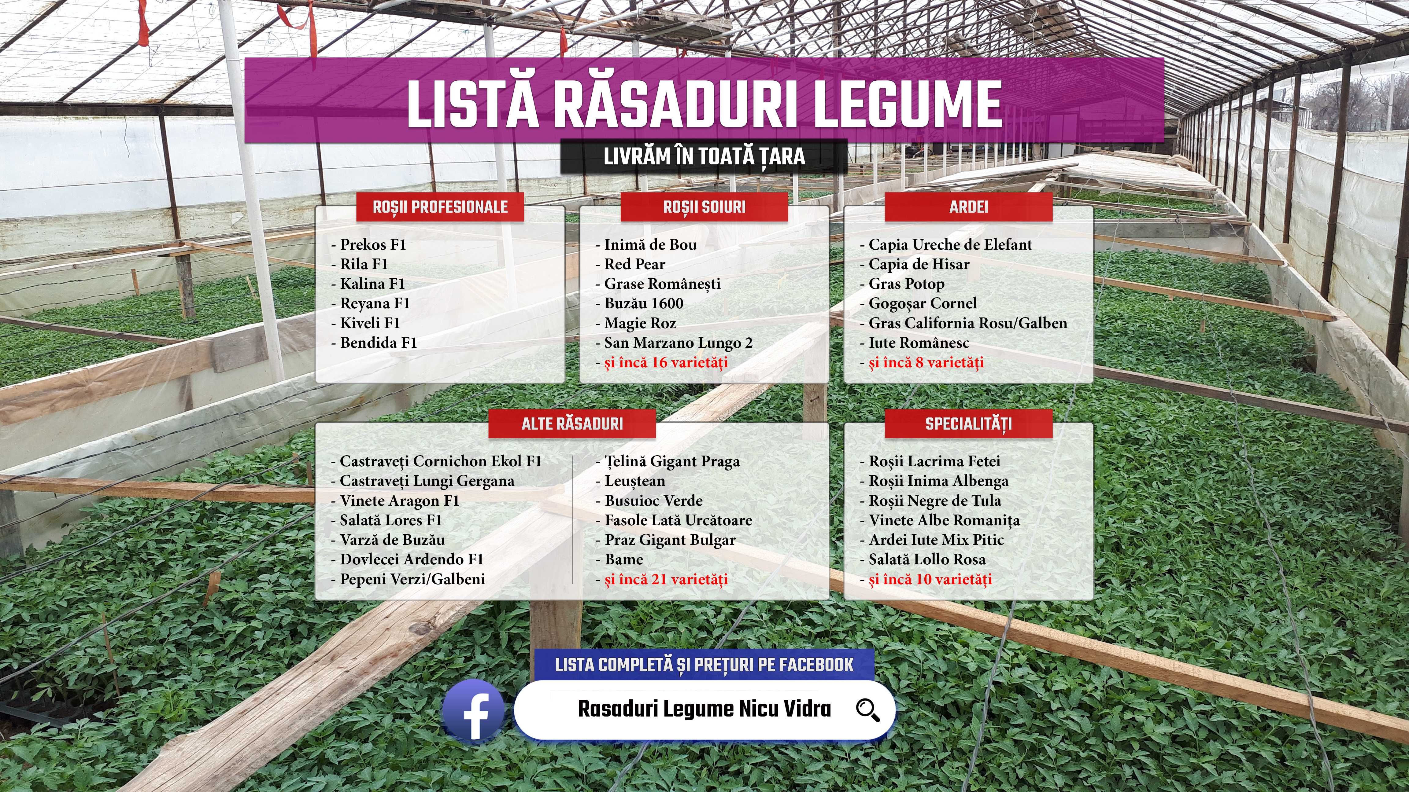 Vand rasad de rosii, ardei, castraveti, vinete | rasaduri de legume