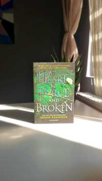 A Heart So Fierce And Broken - Brigid Kemmerer