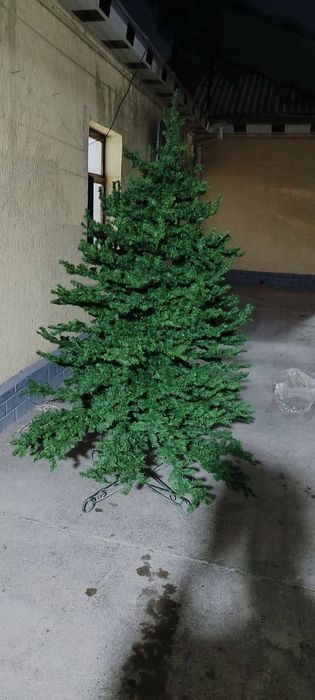 Холати яхши арчани