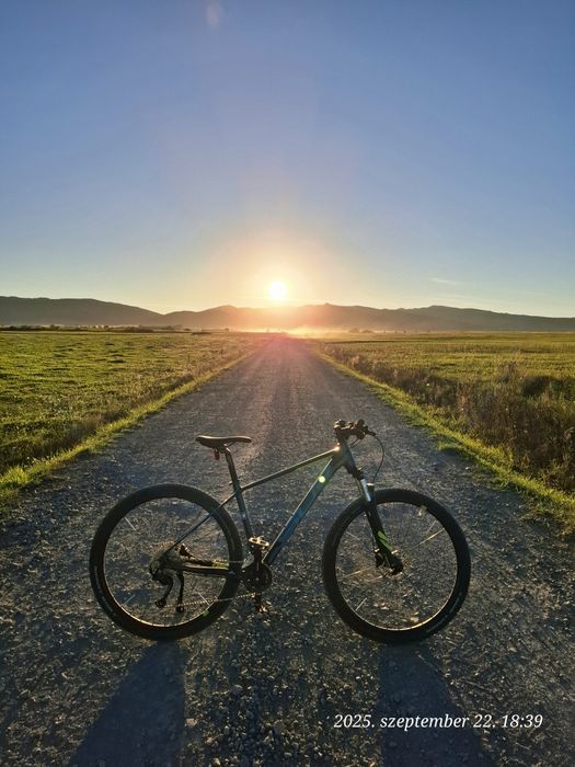 Bicicleta Superior XC 859 - 29"