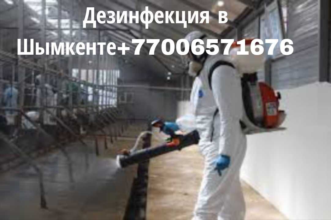Дезинфекция против змей