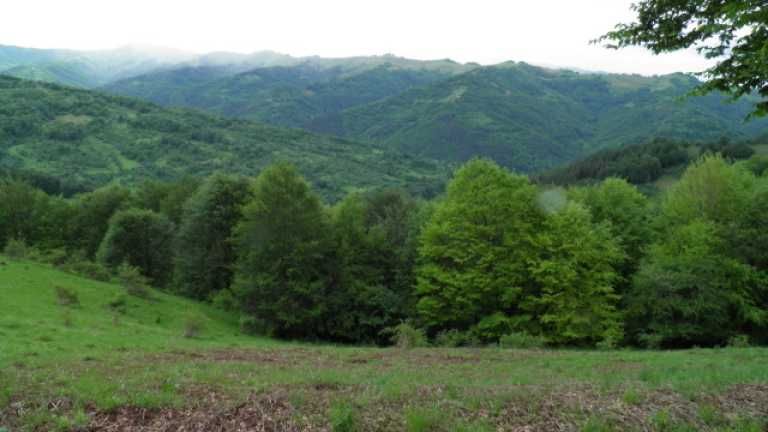 имот в планината