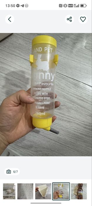 Срочно продается Кролик