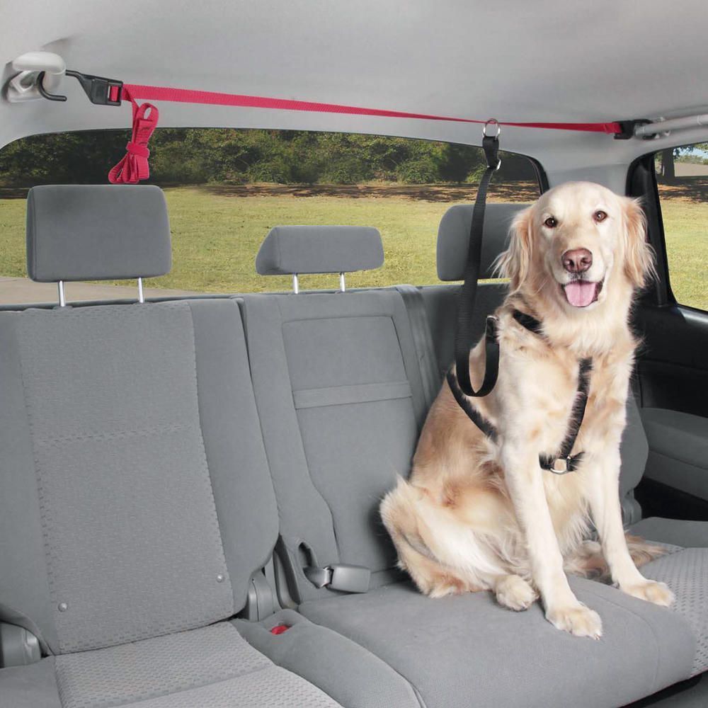 Centura siguranta animale de companie Pets Travel, prindere maner sustinere interior