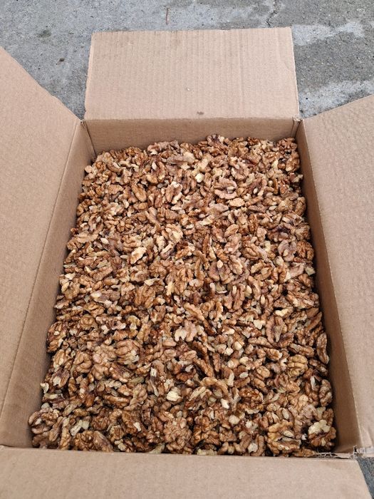 Орехова ядка българска 2025