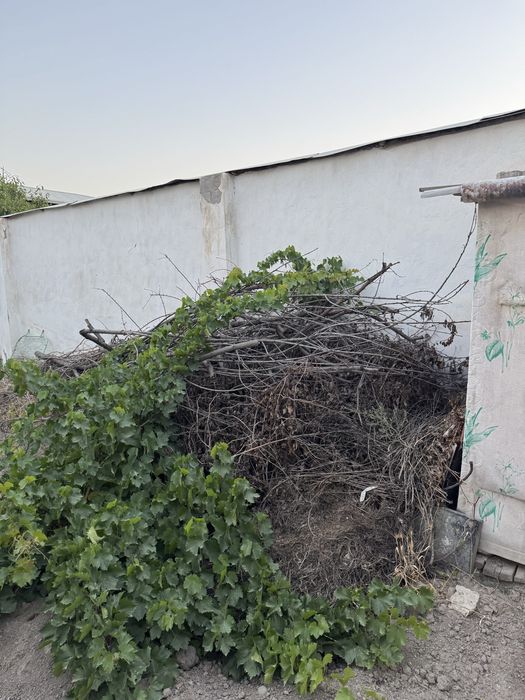 Quruq o’tin 1 ta zildan kopro chiqadi