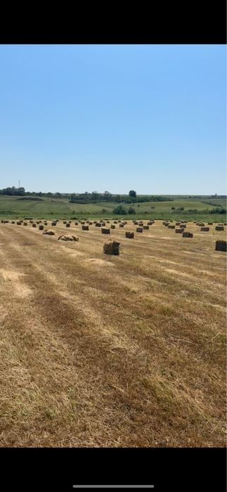 Baloți fân și paie