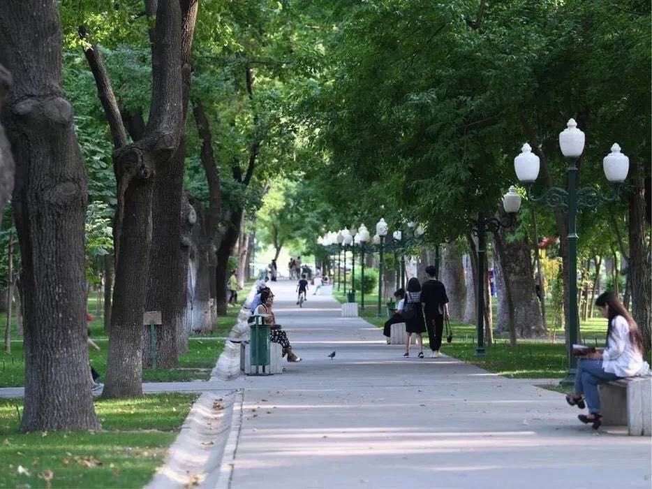 Arenda ijara metro Oybek va kosmonavtlar akuratniy 1 ta bola olamiz