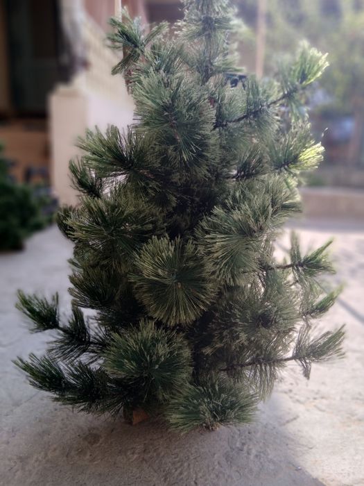 Ёлка  новогодний