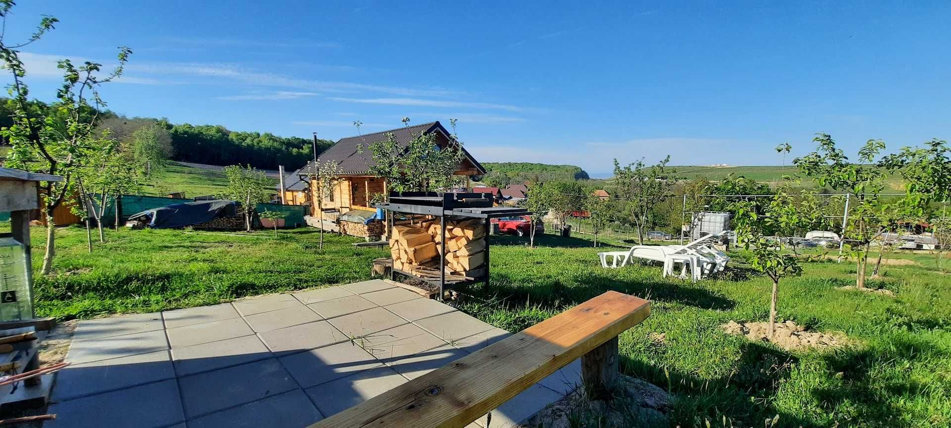 Cabana tip tiny house la 12 km de Cluj la marginea padurii
