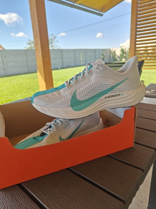 Nike Pegasus Plus