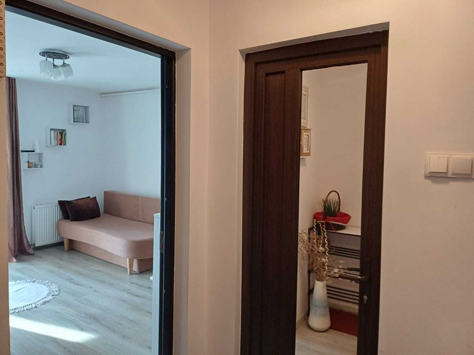 Apartament 1 cameră, renovat, ideal pentru un cuplu