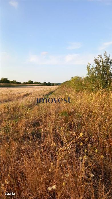 De vanzare teren extravilan