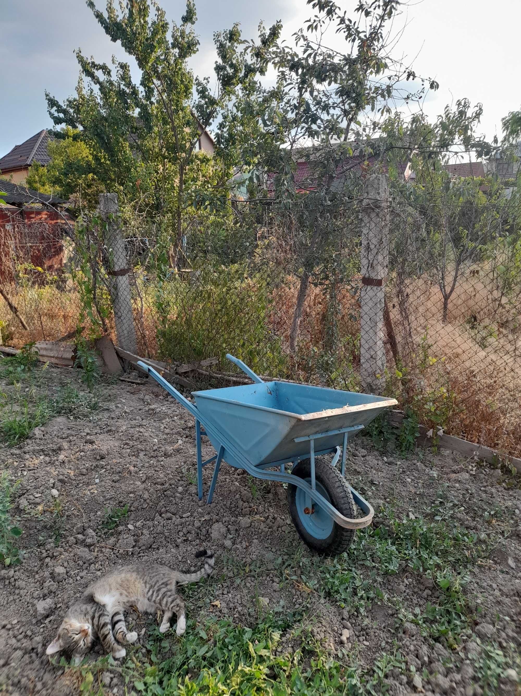 vand roabă rezistenta constructii