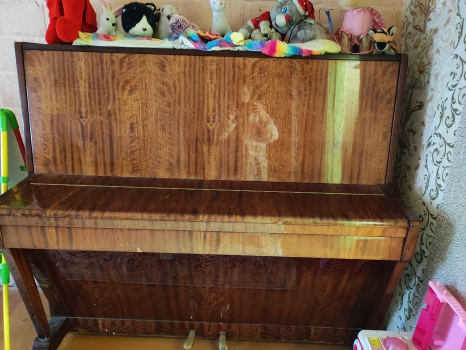 Отдам за шоколадку