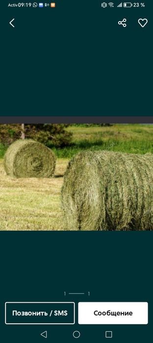 Продам сено в рулонах.