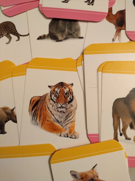 Комплект детски  образователни карти с животни