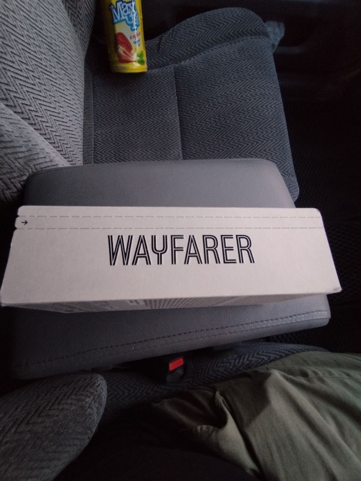 Ray ban wayfarer meta