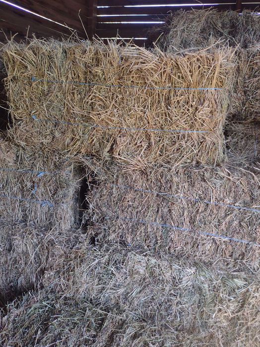 Baloti de vinzare,Udesti/Suceava