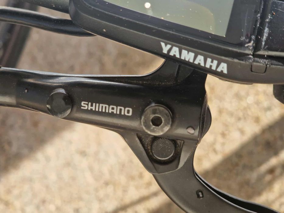 Bicicleta electrica BIXS Glacier