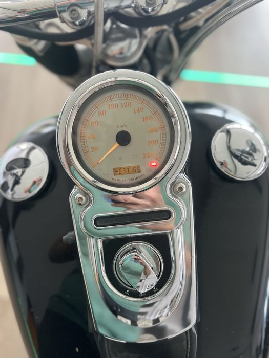 Harley davidson fat bob