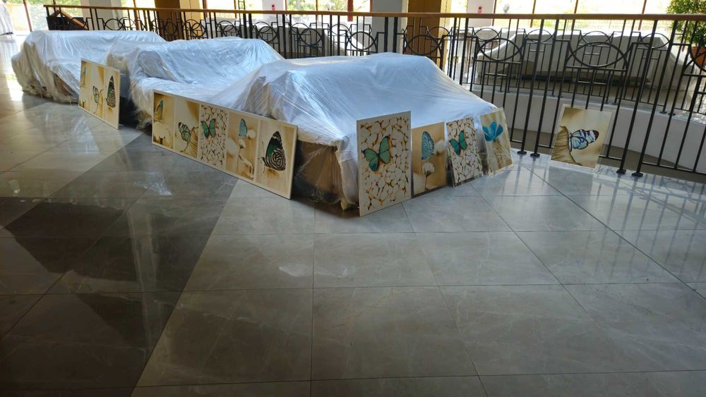 Разпродажба! Картини пеперуди