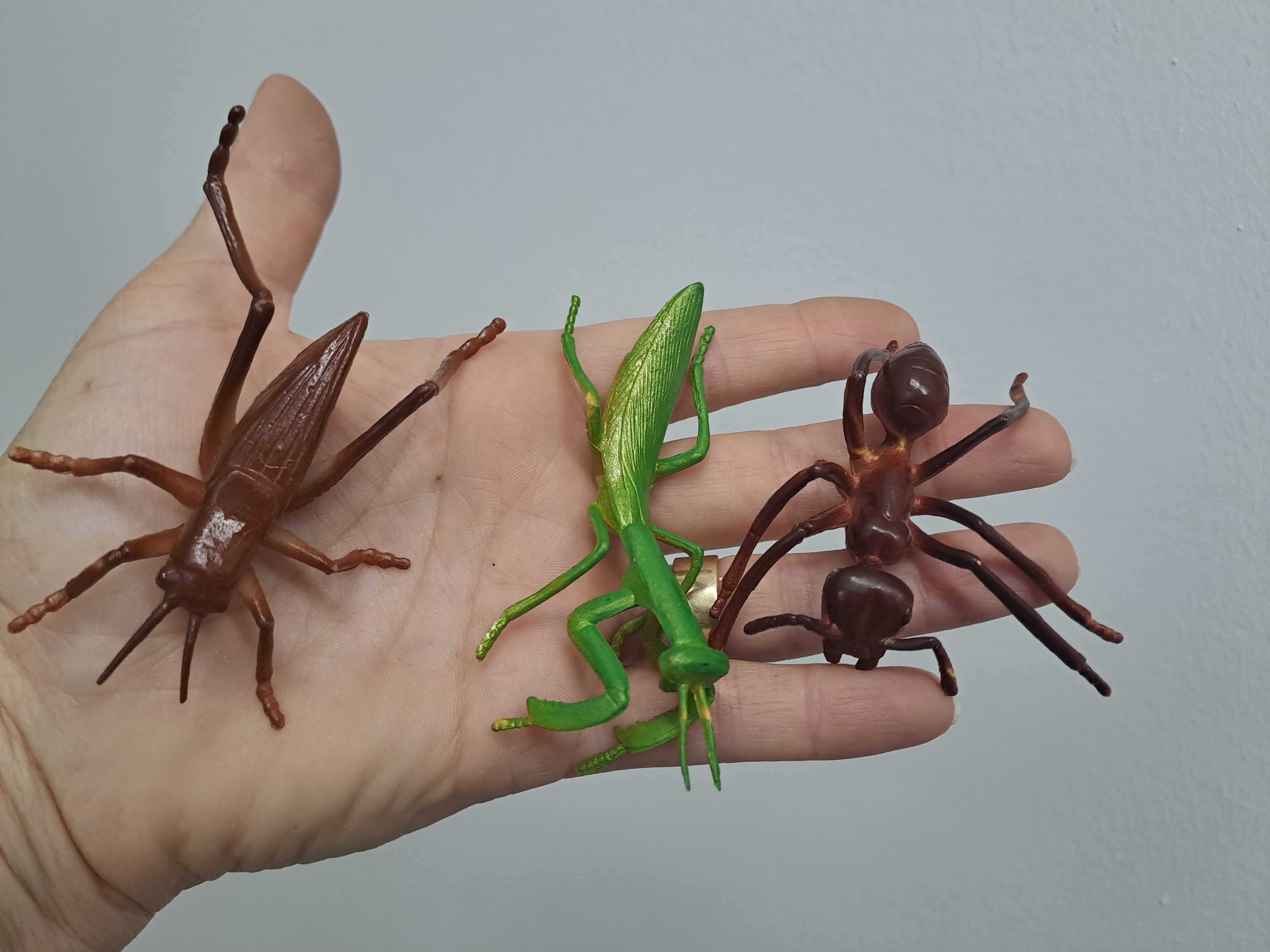 Figurine insecte si gandaci