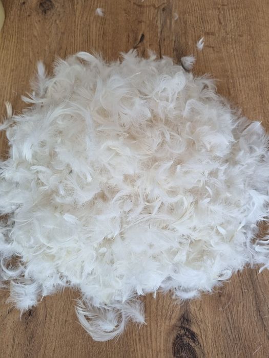 Pene puf fulgi de găscă