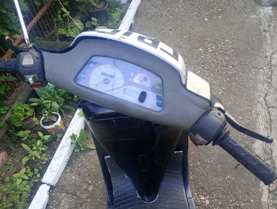 Malagutti centro 50