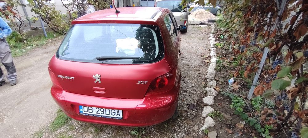 vand peugeot 307 motor defect