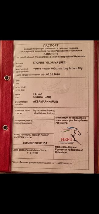 Ot sotiladi Продаётся лошадь