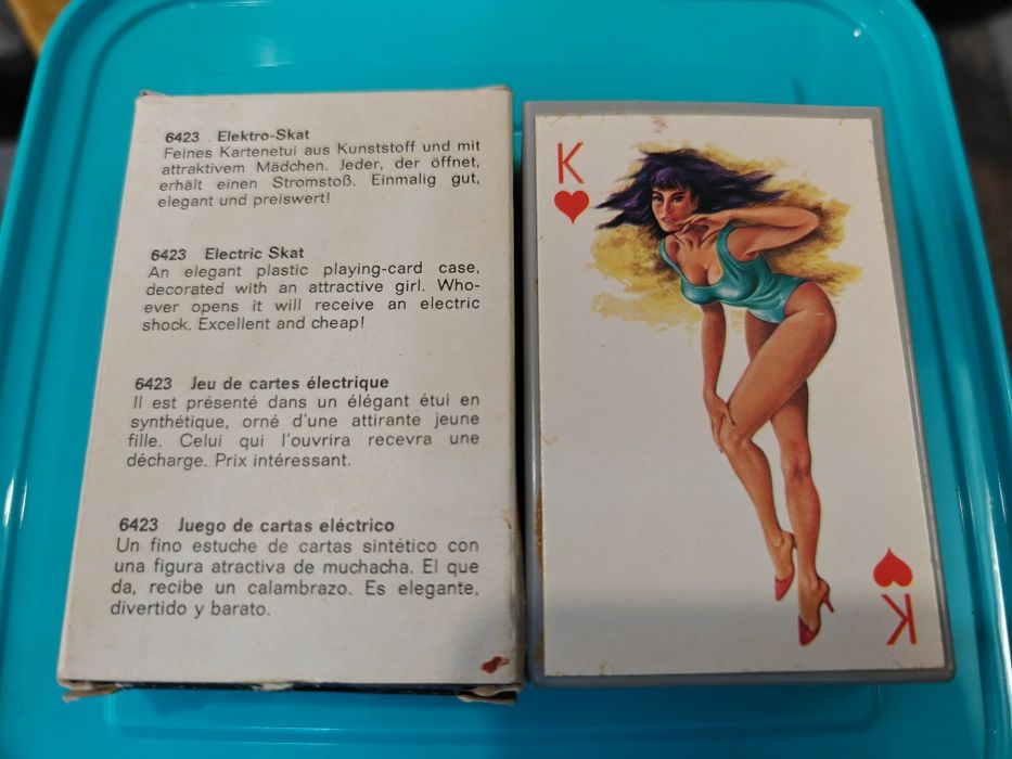 Електро шок от 60 те Pin-up Girls