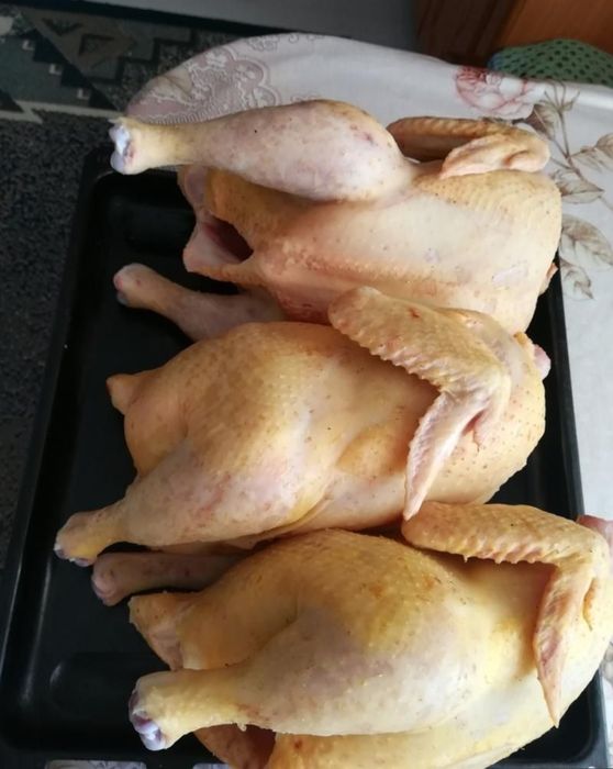 Мясо домашнего бройлера.
