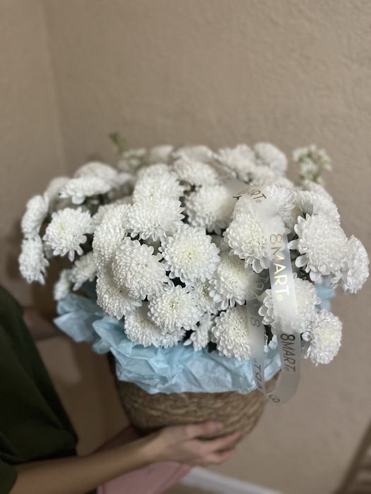 цветок белые ромашки