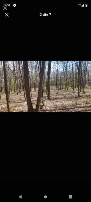 De vânzare Pădure  13 000 Mp,Josani, Peștișu Mic, Hunedoara