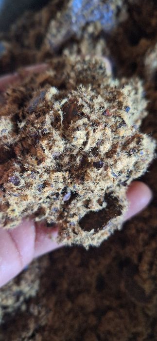 Ekalogik toza kunjara