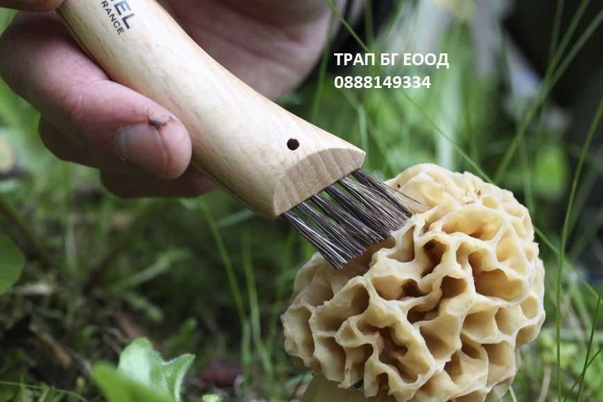 OPINEL нож за гъби ОПИНЕЛ N°08 Mushroom Сгъваем нож гъбари гъбарски