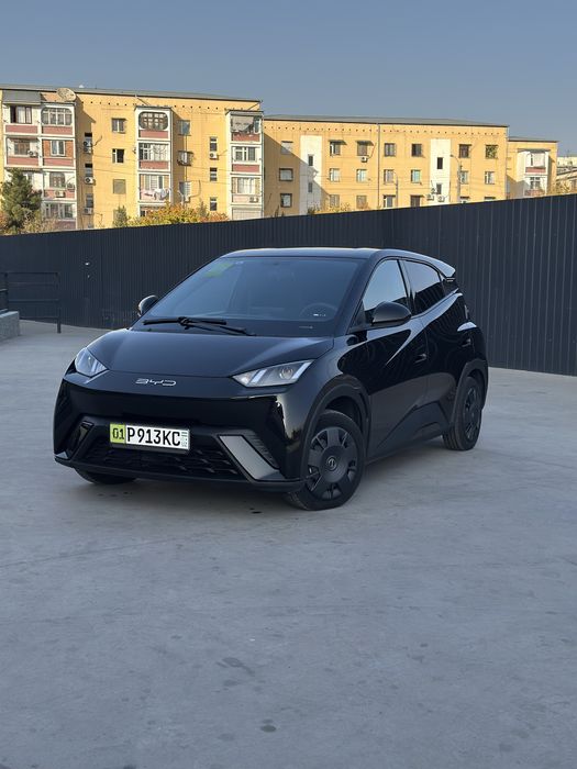 Byd seagull 305 km toza