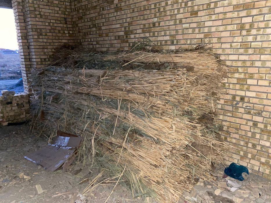 Ассалаумағалейкум сатылады бағасын келісеміз