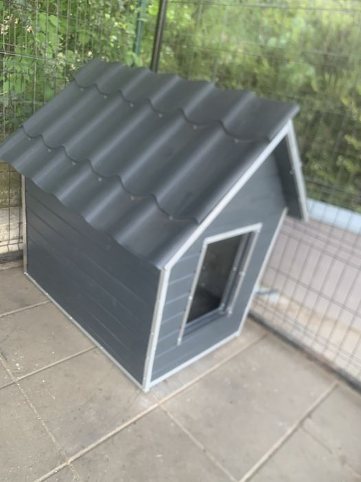 Cușcă câine izolată