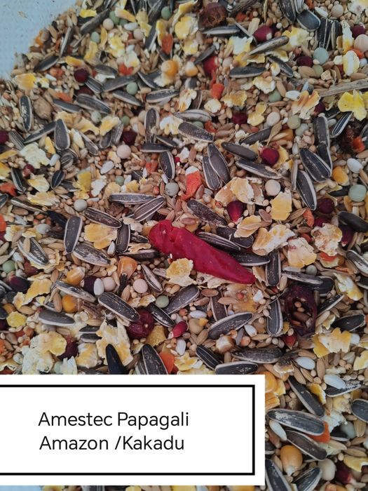 Hrana Peruși,Nimfe Canari,Exotic,Indigen,Papagali Mari