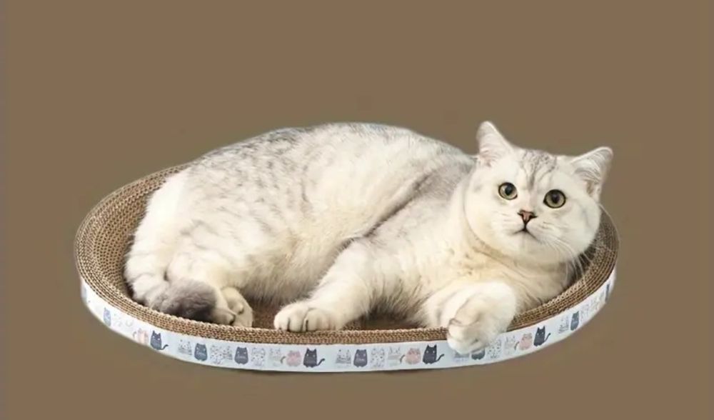 [Новая] Когтеточка - лежанка для кошек, которые, котят