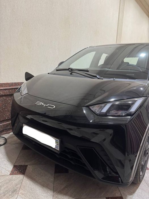 Byd seagull flagship