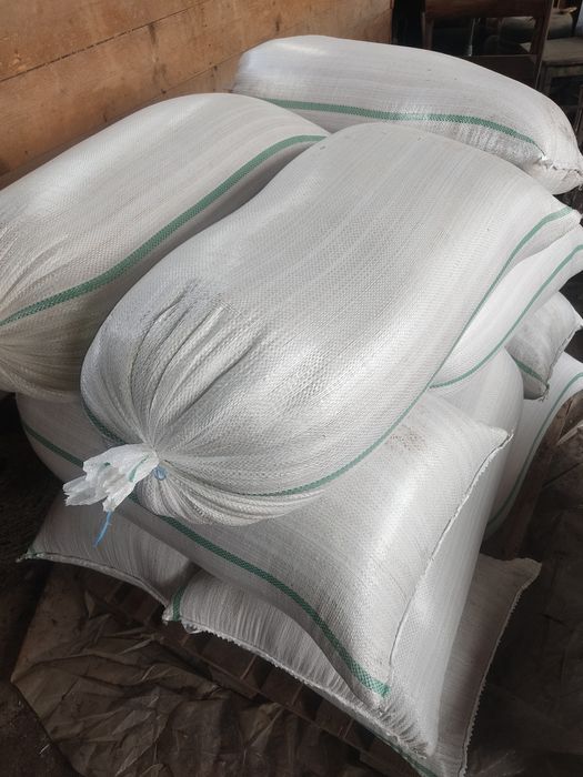 Vând porumb, grâu și triticale de calitate